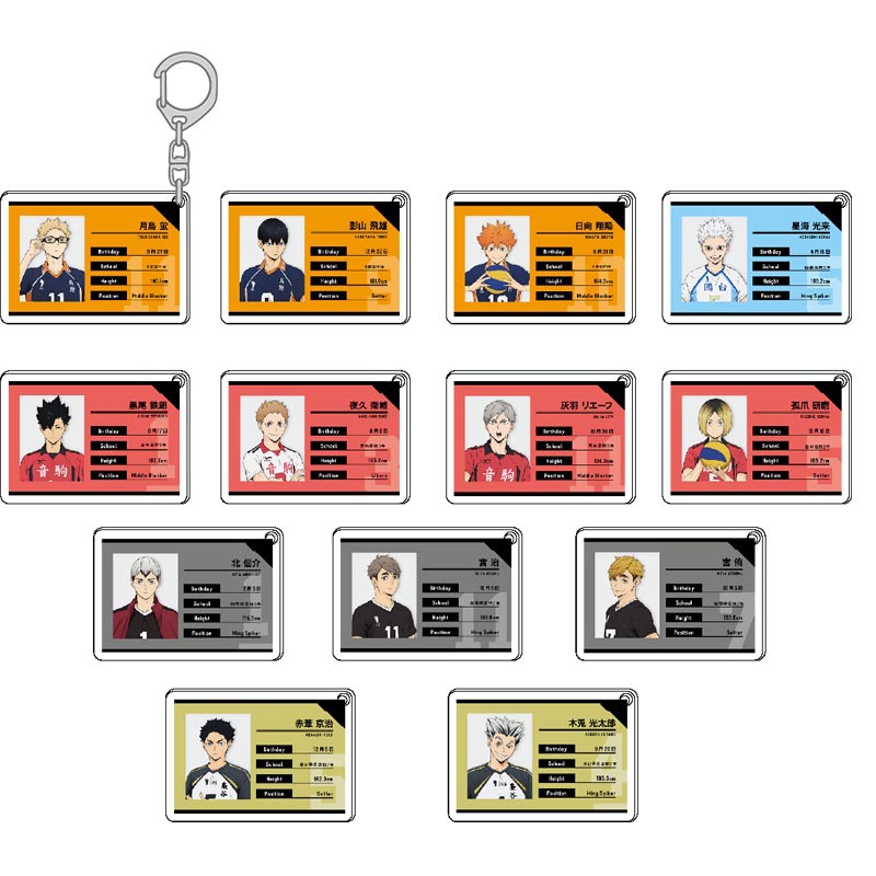 Haikyuu Portachiavi in acrilic - Model Kit Anime recensione e prezzo