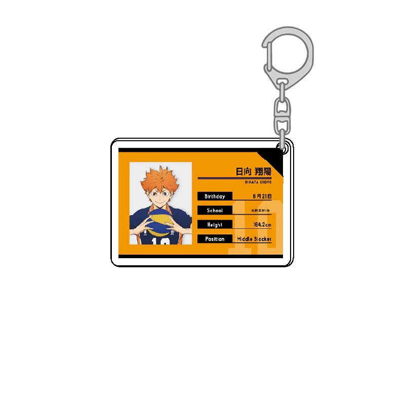 Haikyuu Portachiavi in acrilic - Model Kit Anime recensione e prezzo